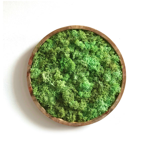 Circular moss frame