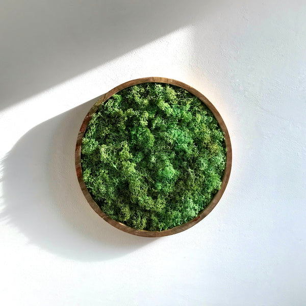 Circular moss frame