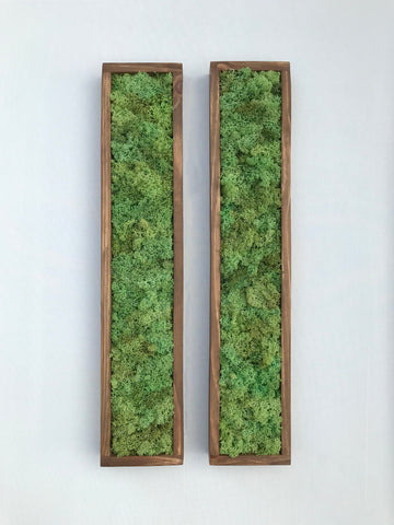 6 pieces – Wooden frame 90 x 30 cm with preserved moss