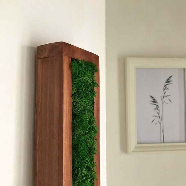 Small frame for wall Red