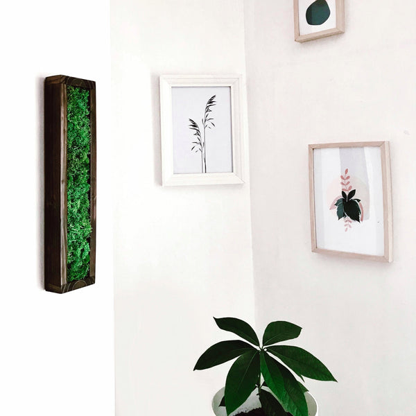 Small frame for wall Black