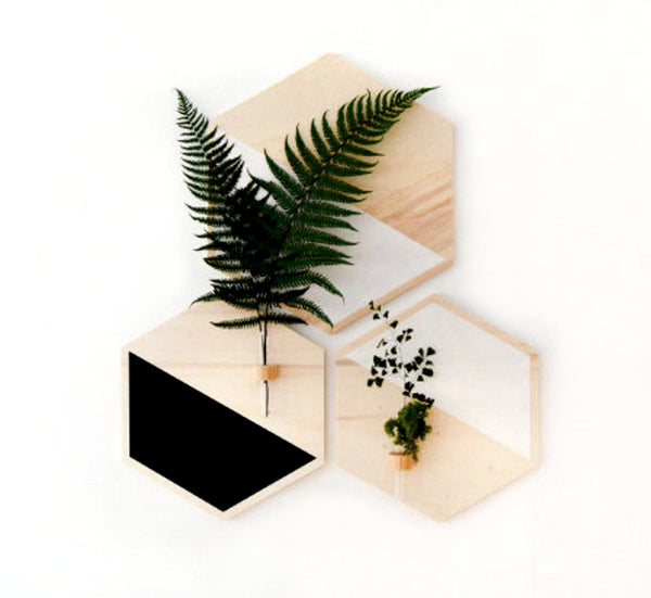 Decoración con plantas para pared, helechos y madera