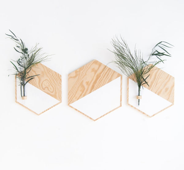 Decoración minimalista en blanco y madera con plantas