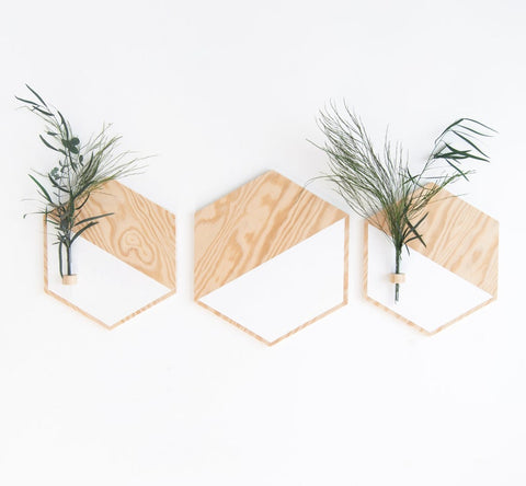 Decoración minimalista en blanco y madera con plantas
