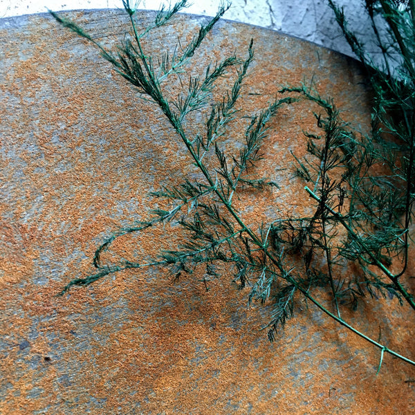 Circular planter in rust-effect wood