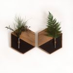 Hexágonos decorativos para pared con plantas