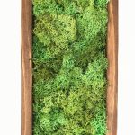 889F3469-90F4-4EDB-AEF2-40ACE778915D