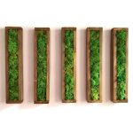 8EE35DC9-E77B-4388-8AA9-47ECC1488E91