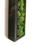 ACE25EEB-91B4-4324-A87A-7FE152268D65