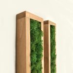 C4986318-EE75-4325-AD8F-37746E66C405