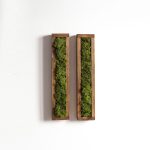 Moss, musgo preservado, jardín vertical, decoración interior, madera pino rústica, Jardín preservado, decoración pared, marcos madera, moss preserved, decoración original, wall decor, wall art, rustic wood, madera envejecida