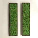 FFCBBB04-ED2E-4456-9F42-0EB0F20EF8B8