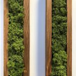 Moss, musgo preservado, jardín vertical, decoración interior, madera pino rústica, Jardín preservado, decoración pared, marcos madera, moss preserved, decoración original, wall decor, wall art, rustic wood, madera envejecida, decoración estilo industrial, farmhouse decor