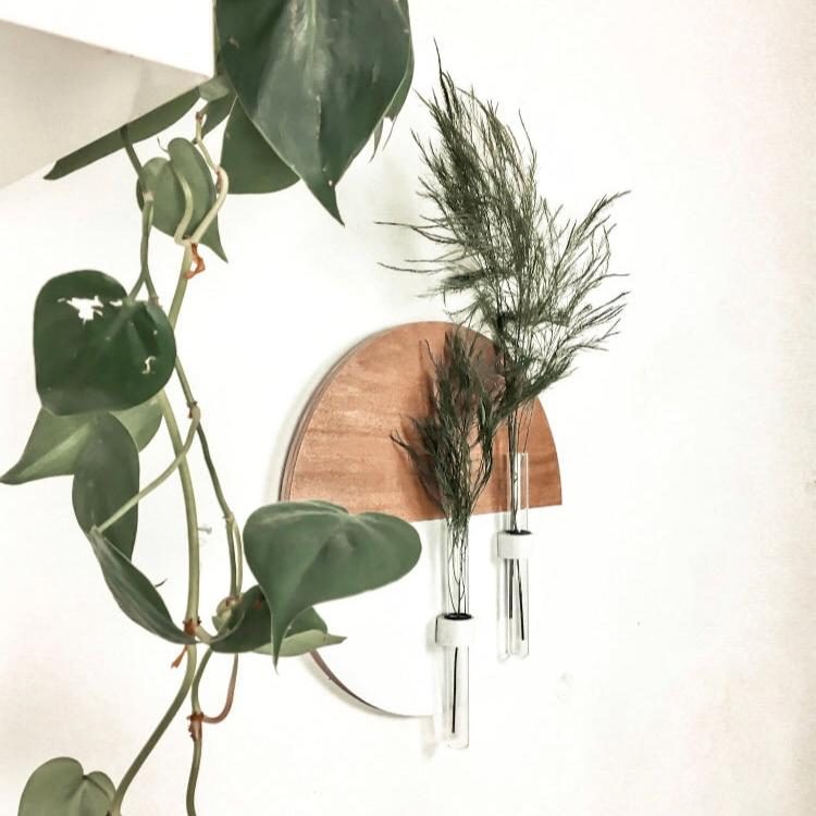 Maceteros originales, decoración interior, madera pino rústica, decoración pared, maacetero madera circular, plantas preservadas, decoración original, wall decor, wall art, rustic wood, madera envejecida, decoración estilo nórdico, farmhouse decor