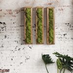 Moss, musgo preservado, jardín vertical, decoración interior, madera pino rústica, Jardín preservado, decoración pared, marcos madera, moss preserved, decoración original, wall decor, wall art, rustic wood, madera envejecida, decoración indusstrial