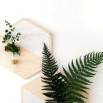 Decoración zen con helechos