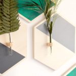Decoración con plantas para pared