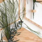 Decoración romántica con eucalipto y planta preservada